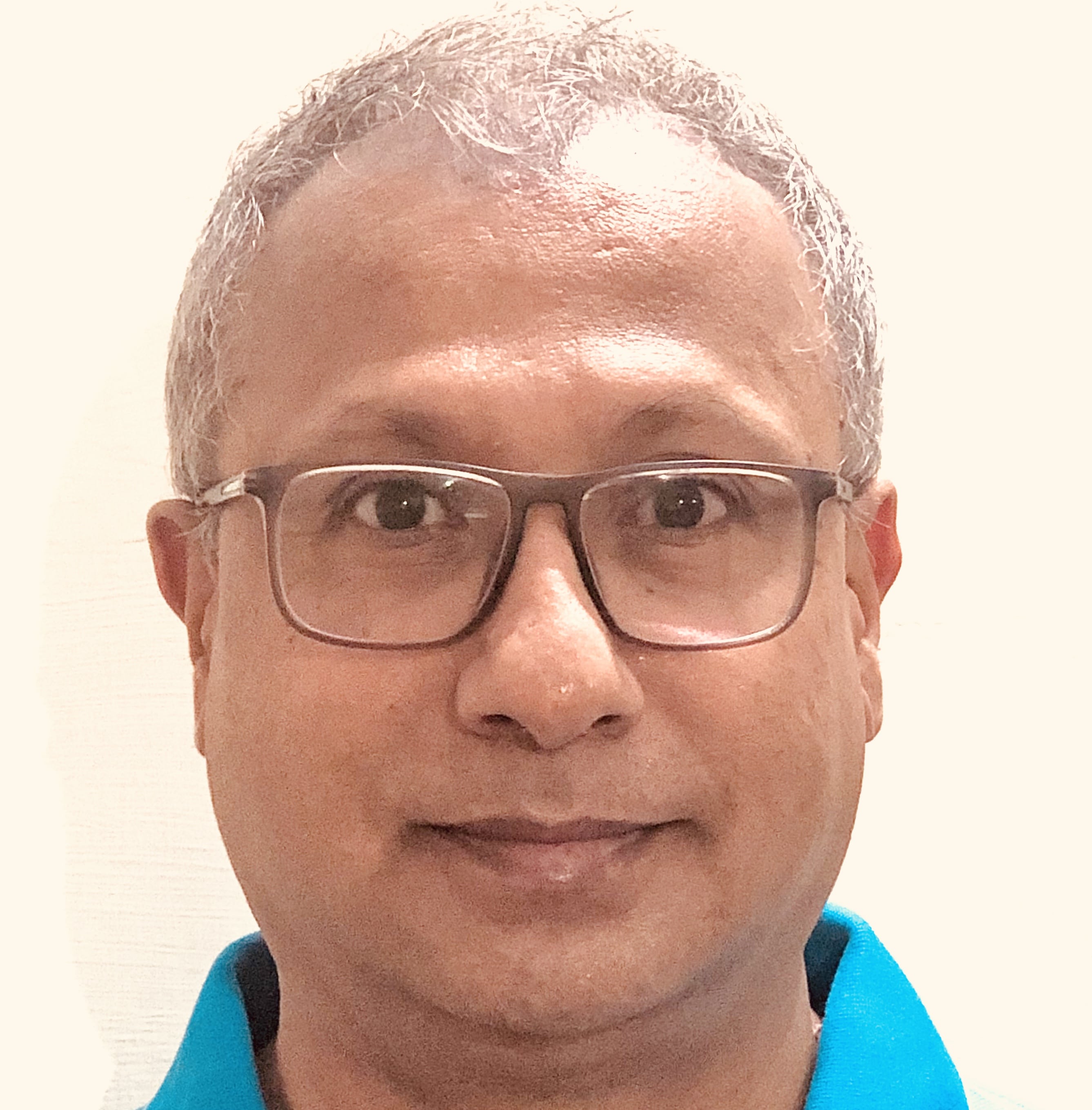 बी. वी. फणि